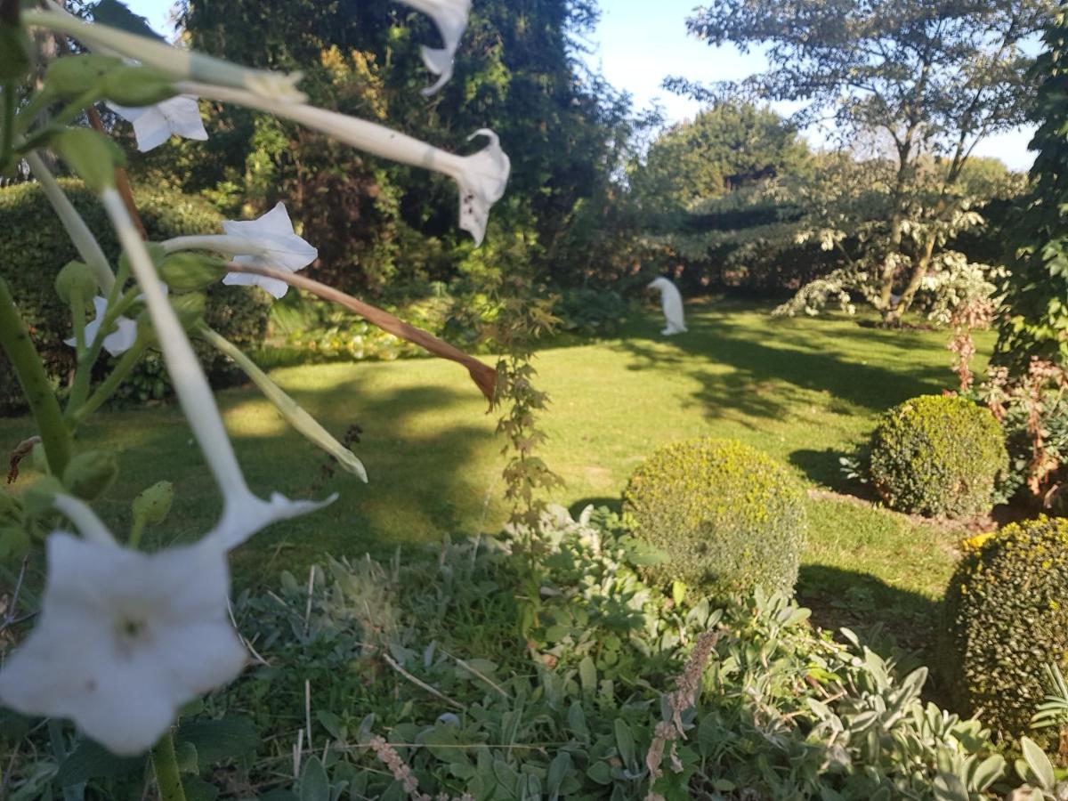 Le Clos Falaw Azay-sur-Cher エクステリア 写真