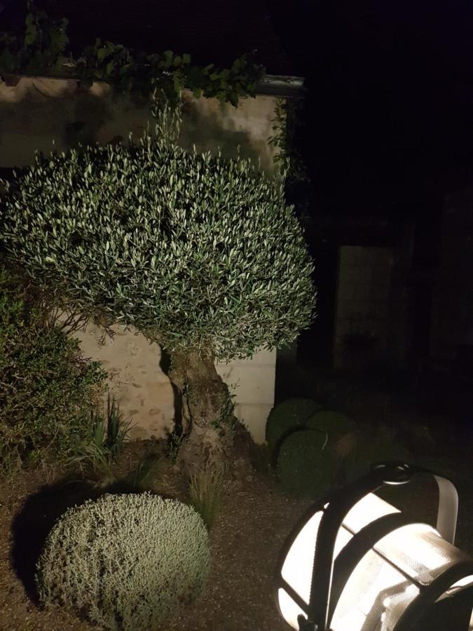 Le Clos Falaw Azay-sur-Cher エクステリア 写真