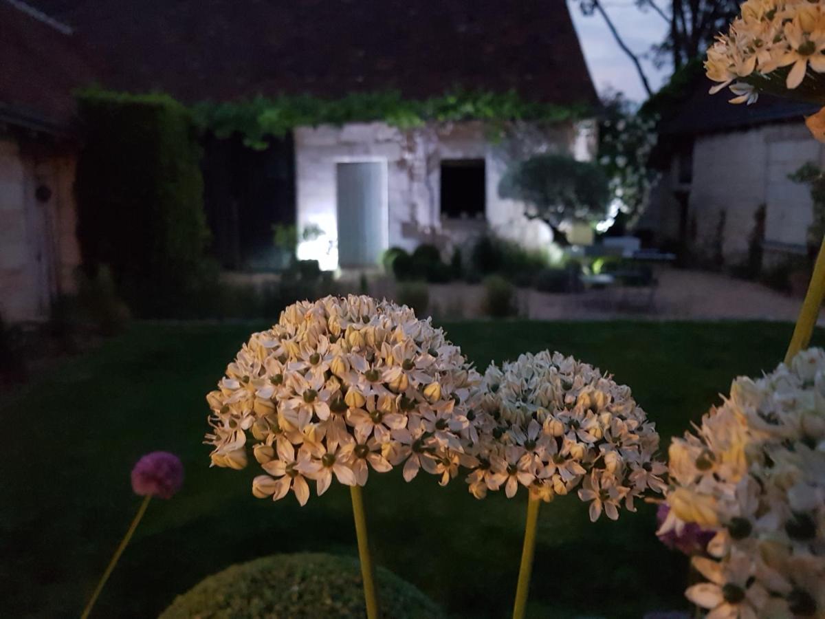 Le Clos Falaw Azay-sur-Cher エクステリア 写真